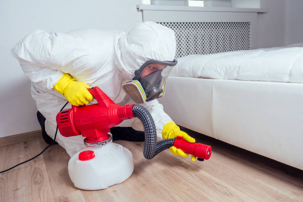 Best Flea Control Services  in Freeland, WA